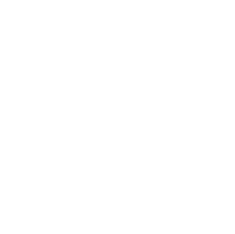 Skytech Logo WHITE